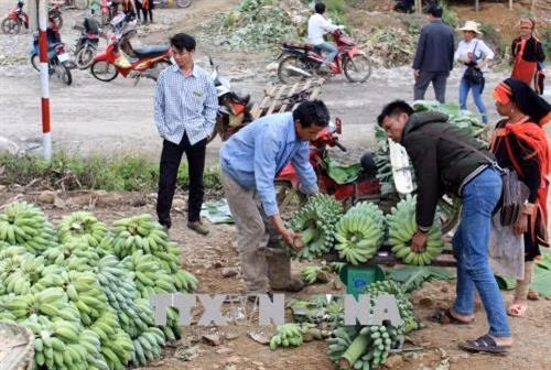 莱州省：越中缔结友好村寨模式带来诸多实际效果 ảnh 1