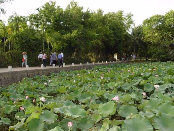 5月份踏访 胡志明主席故乡 ảnh 1