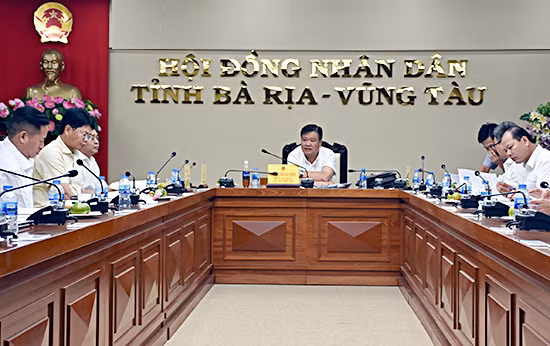 巴地头顿省集中为企业提供援助 ảnh 1