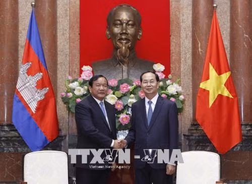 国家主席陈大光会见柬埔寨外交与国家合作部大臣布拉索昆 ảnh 1