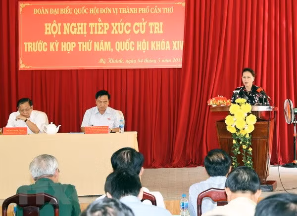 国会主席阮氏金银接待芹苴市丰田县选民 ảnh 1 国会主席阮氏金银接待芹苴市丰田县选民 ảnh 1