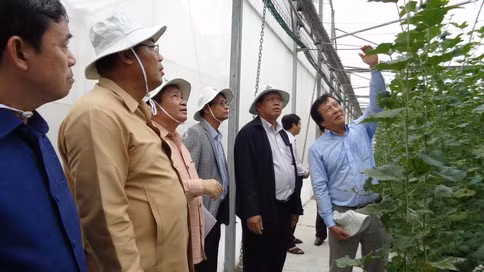 老挝占巴塞省省委书记兼省长本通•迪维塞访问胡志明市 ảnh 1