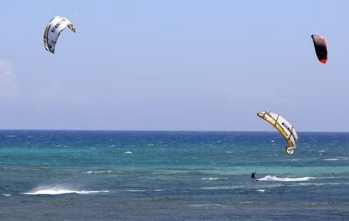 宁顺省风筝冲浪旅游热闹红火 ảnh 1