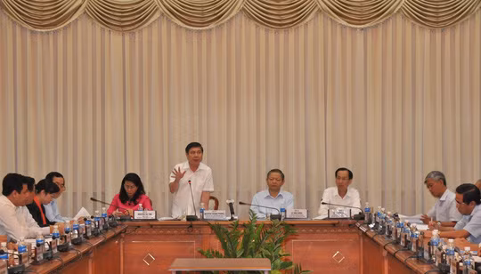胡志明市努力提高公共管理效益指数 ảnh 1