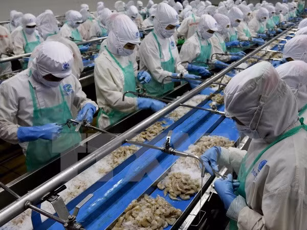 越南与文莱力争实现至2025年双向贸易额达5亿美元的目标 ảnh 1 越南与文莱力争实现至2025年双向贸易额达5亿美元的目标 ảnh 1