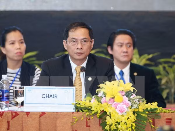 越南外交部副部长裴青山：希望APEC企业开展实质性交流 共同规划未来 ảnh 1