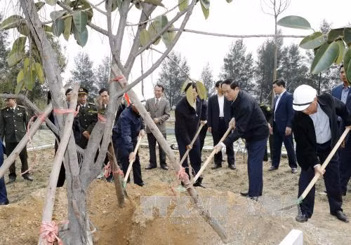 越南国家主席陈大光赴广宁省调研 ảnh 2