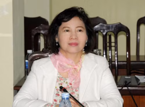 越南政府总理要求澄清工商部副部长胡氏金钗财产相关信息 ảnh 1 越南政府总理要求澄清工商部副部长胡氏金钗财产相关信息 ảnh 1