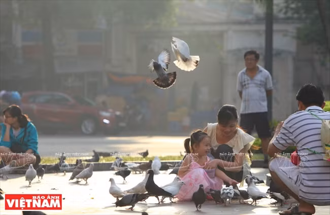 西贡圣母大教堂 ảnh 10