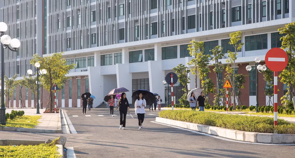 河内国家大学在2024年世界大学网络排名上升 ảnh 1