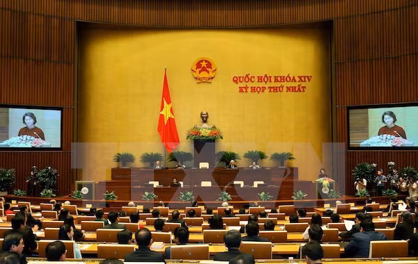 2016年越南14届国会提高活动效果 ảnh 1