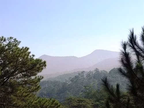 林同——美景圣地（组图） ảnh 4