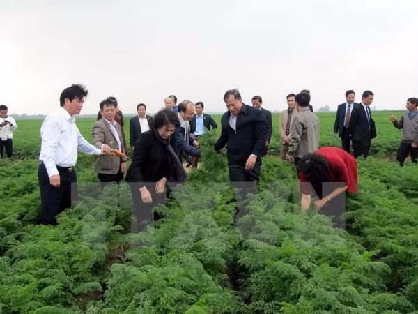国会主席阮氏金银:海阳省各级党委、政府重视并为农业生产创造便利 ảnh 1 国会主席阮氏金银:海阳省各级党委、政府重视并为农业生产创造便利 ảnh 1