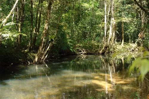 林同——美景圣地（组图） ảnh 2