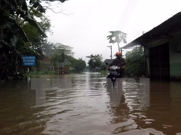 越南中部各省多措并举应对强降雨及洪灾袭击 ảnh 1