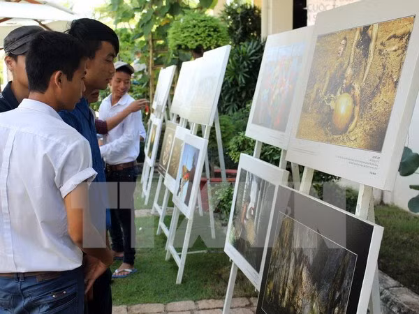 通过2016年遗产行程摄影展推介越南形象 ảnh 1