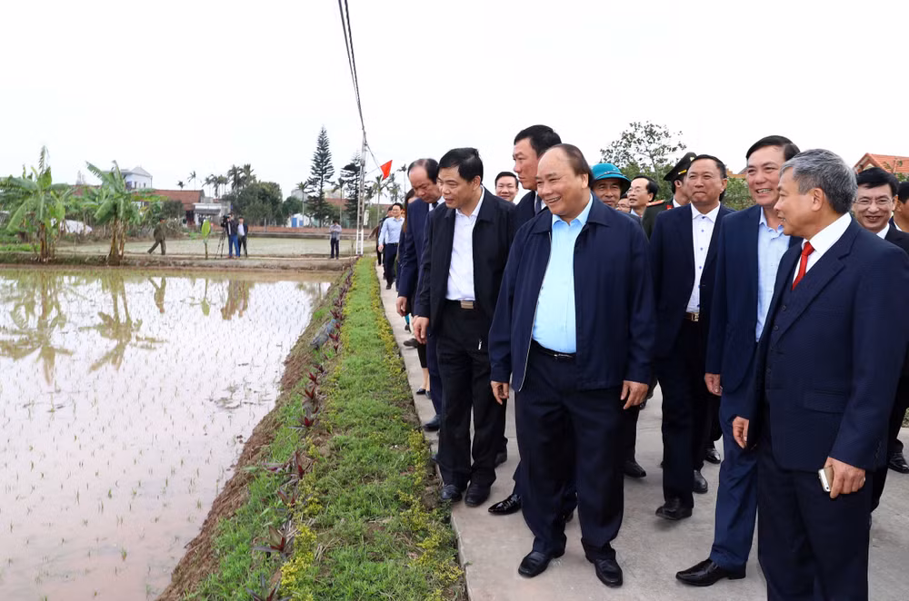 越南政府总理阮春福视察南定省农民生产模式 ảnh 1