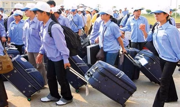 2018年越南提出劳务输出人数达11万人的目标 ảnh 1