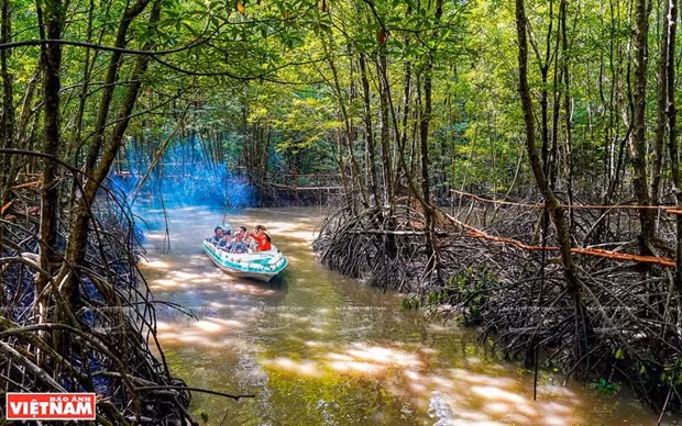 越南最南端--金瓯省注重实现旅游业可持续发展 在越南旅游地图上打下烙印 ảnh 1 越南最南端--金瓯省注重实现旅游业可持续发展 在越南旅游地图上打下烙印 ảnh 1