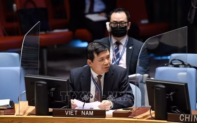 越南与联合国安理会:越南敦促各方接受联合国提出的也门和平倡议 ảnh 1 越南与联合国安理会:越南敦促各方接受联合国提出的也门和平倡议 ảnh 1