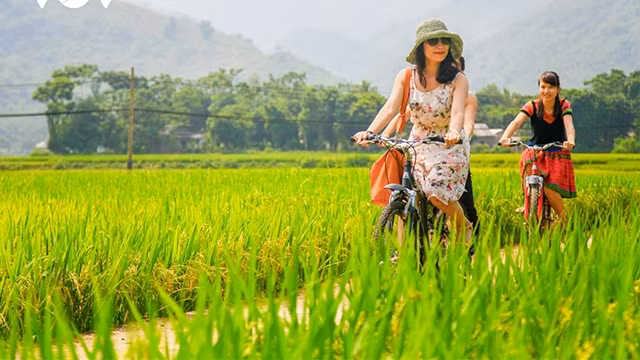 接种后旅游趋势：高消费、旅游时间长 ảnh 1