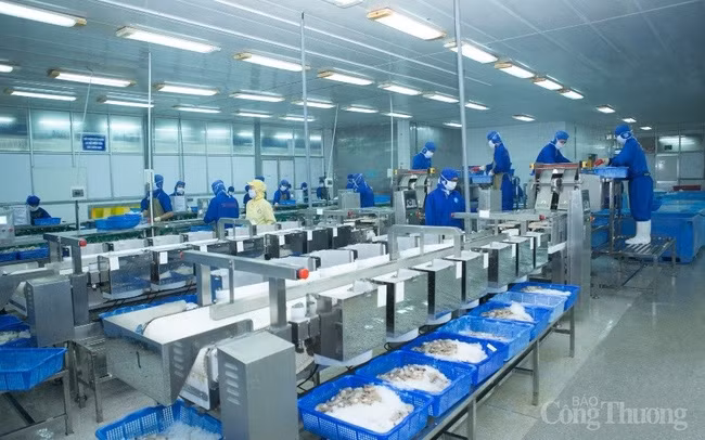 越南向签署自贸协定的市场发放42万份原产地证 ảnh 1 越南向签署自贸协定的市场发放42万份原产地证 ảnh 1