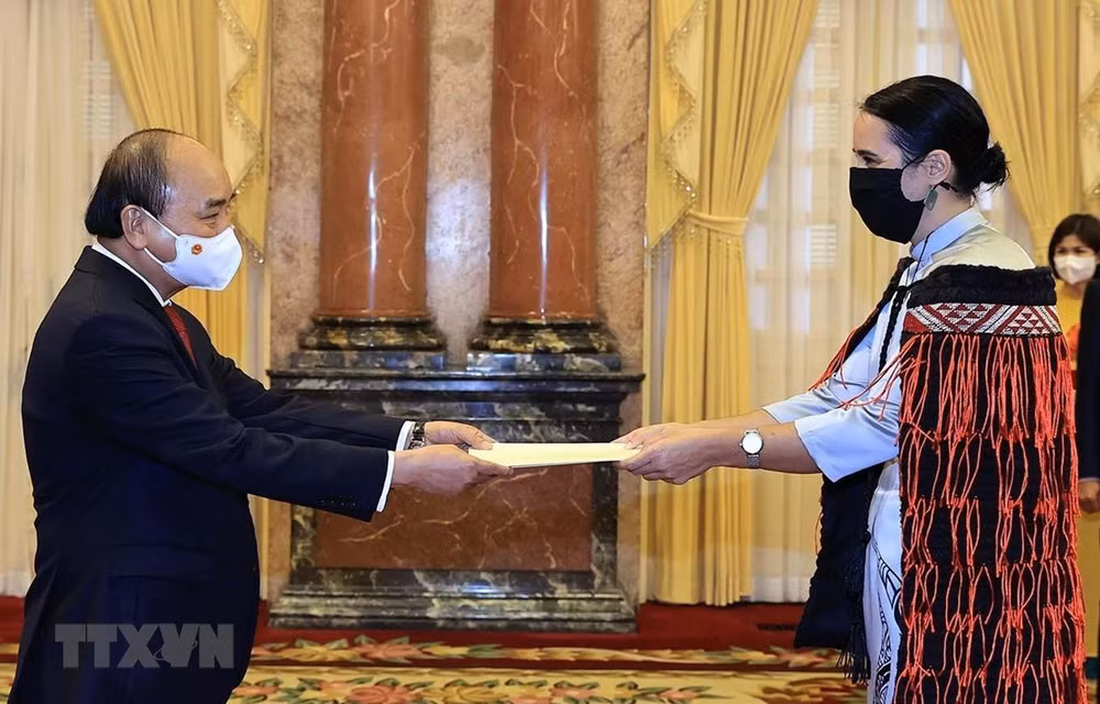 越南国家主席阮春福会见前来递交国书的各国驻越大使 ảnh 1