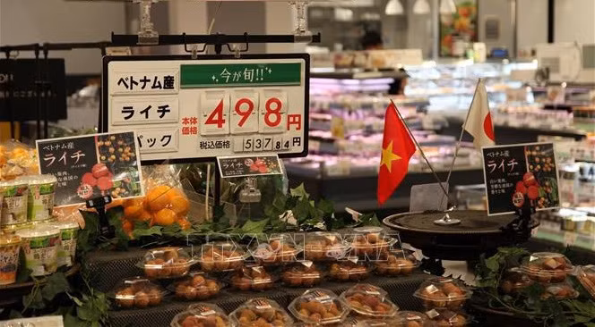 新冠肺炎疫情：为越南农产品出口到日本牵线搭桥 ảnh 1