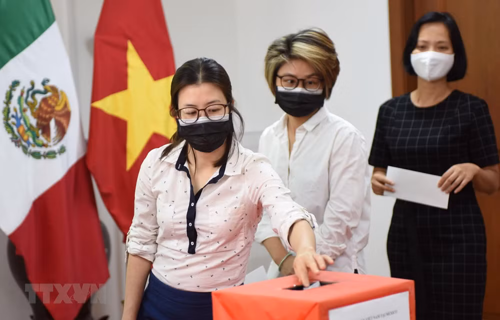 海外越南人积极行动 助力越南抗击疫情 ảnh 1