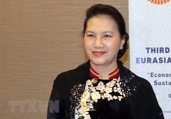 越南国会主席阮氏金银对土耳其进行正式访问 ảnh 1