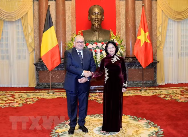 越南国家代主席邓氏玉盛接受三国新任驻越大使递交国书 ảnh 2