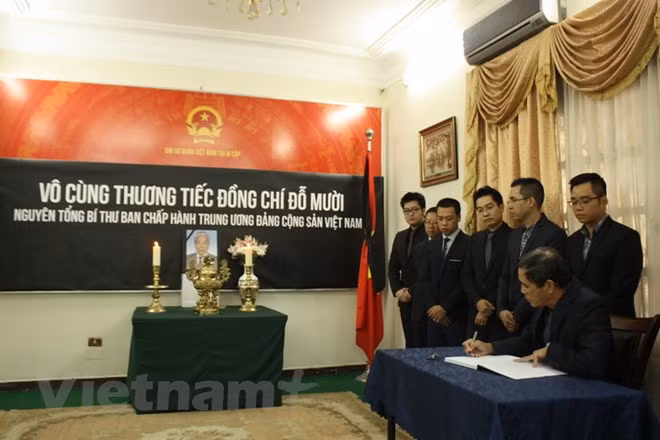 原越共中央总书记杜梅吊唁仪式在埃及、阿根廷和孟加拉国举行 ảnh 1