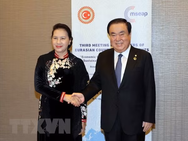 越南为多边体制制定做出贡献 积极与土耳其加强友好关系 ảnh 3