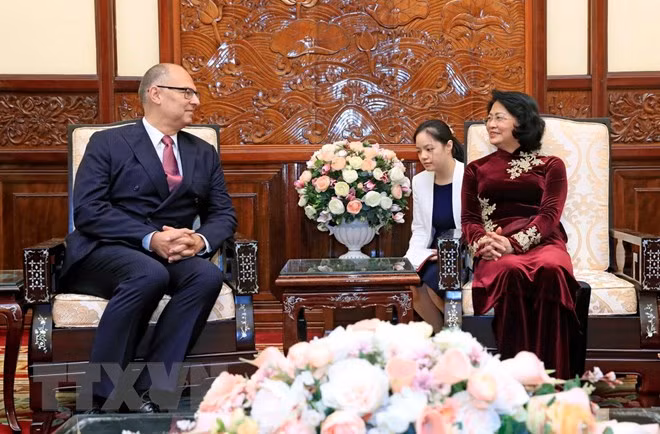 越南国家代主席邓氏玉盛接受三国新任驻越大使递交国书 ảnh 3
