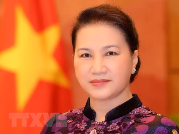 国会主席阮氏金银将出席第三届欧亚国家议长会议并访问土耳其 ảnh 1