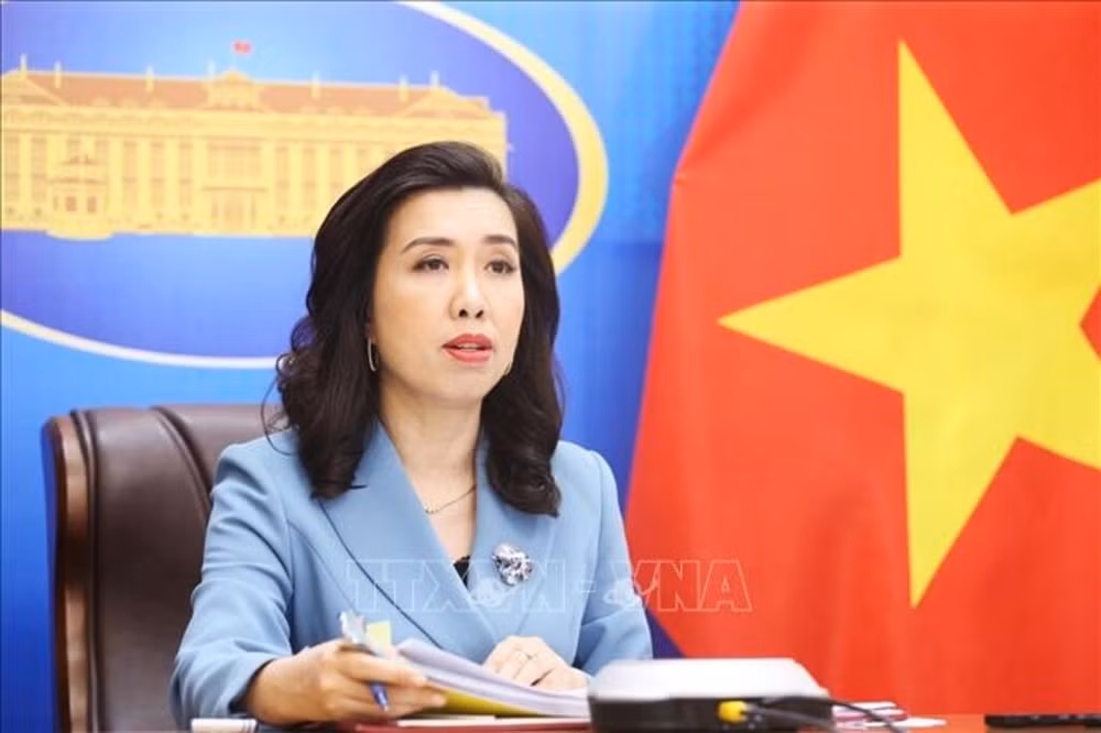 外交部副部长黎氏秋恒：发挥海外越南人资源的五项任务 致力于国家发展事业 ảnh 1