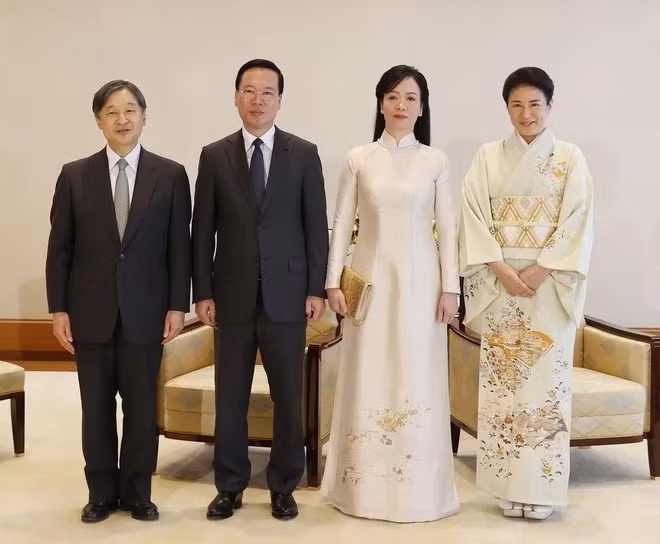 越南外长裴青山：武文赏日本之行取得重要成果 ảnh 3