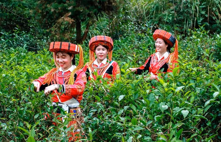 巴天族妇女的绚丽服饰 ảnh 2