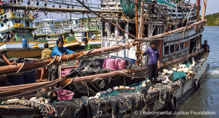 泰国脱离欧盟“预备非法捕鱼国”黑名单 ảnh 1 泰国脱离欧盟“预备非法捕鱼国”黑名单 ảnh 1