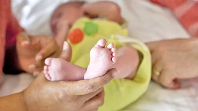 胡志明市破获一起跨境代孕犯罪团伙 ảnh 1