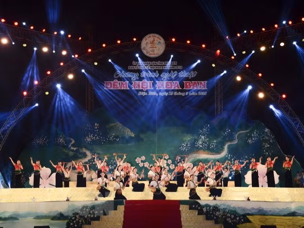 2019年奠边省羊蹄甲花节将于3月举行 ảnh 2