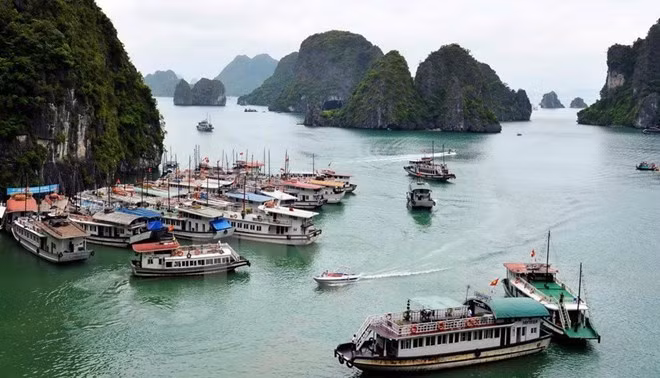 外国旅游专网赞扬越南无穷魅力 ảnh 1