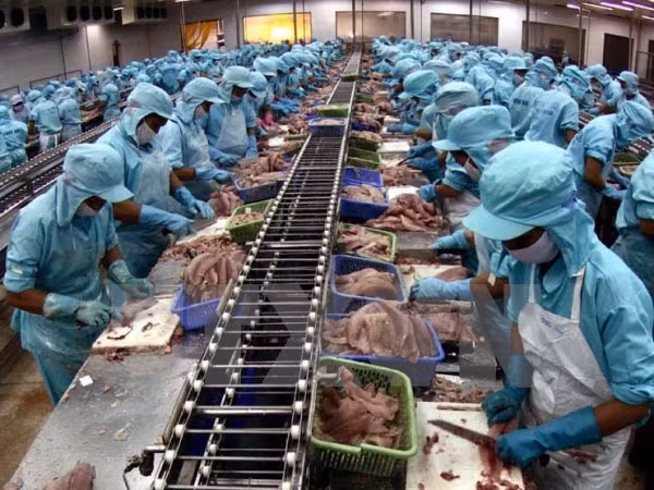 2018年越南对非洲出口达近30亿美元 ảnh 1