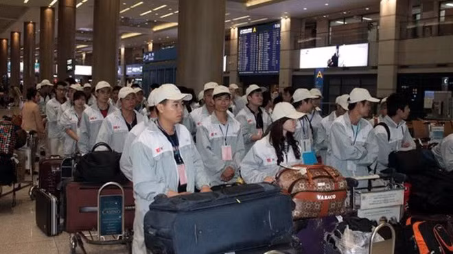 韩国是越南劳务输出的最主要市场 ảnh 1