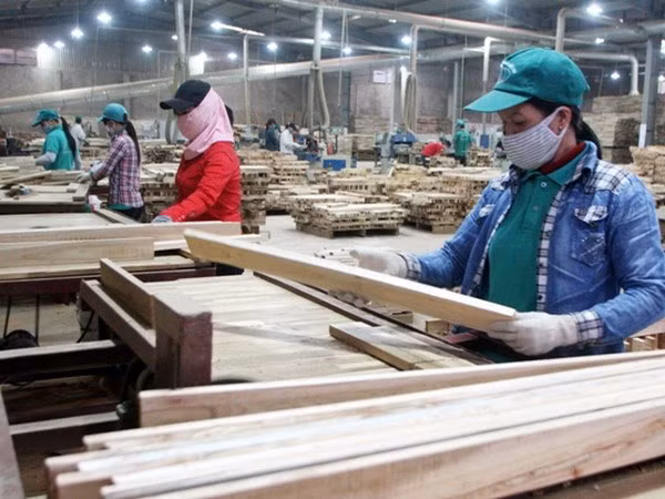 2019年越南木材及林产品出口额有望达110亿美元 ảnh 1