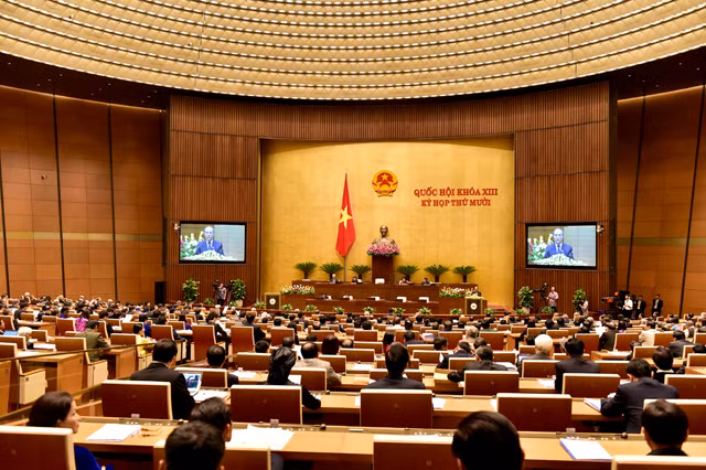 越南首次普选70周年：越南电视台举行“代表者”异地现场直播节目 ảnh 1