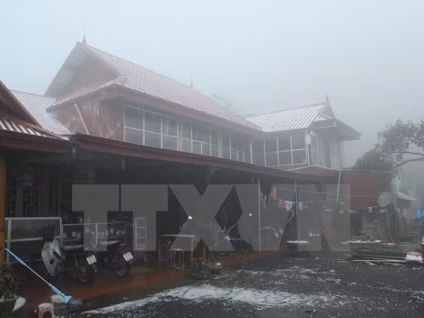 低温降雪天气对越南北部地区农业造成严重损失 ảnh 1