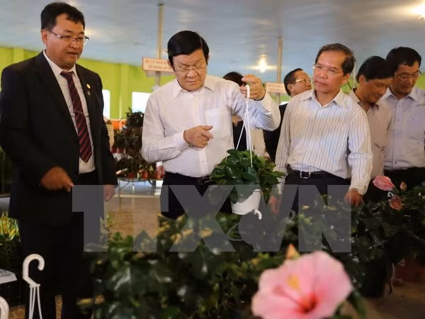 张晋创主席考察林同省高科技农业生产模式 ảnh 1