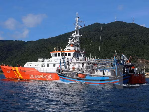 越南平定省渔船被撞沉事件:越南有关机关进行核实并查明肇事者 ảnh 1