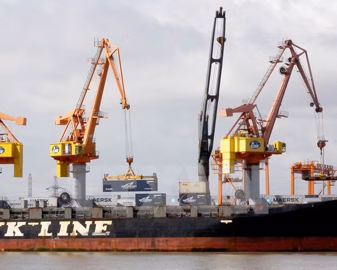 经济专家对2016年越南经济发展前景表示乐观 ảnh 1